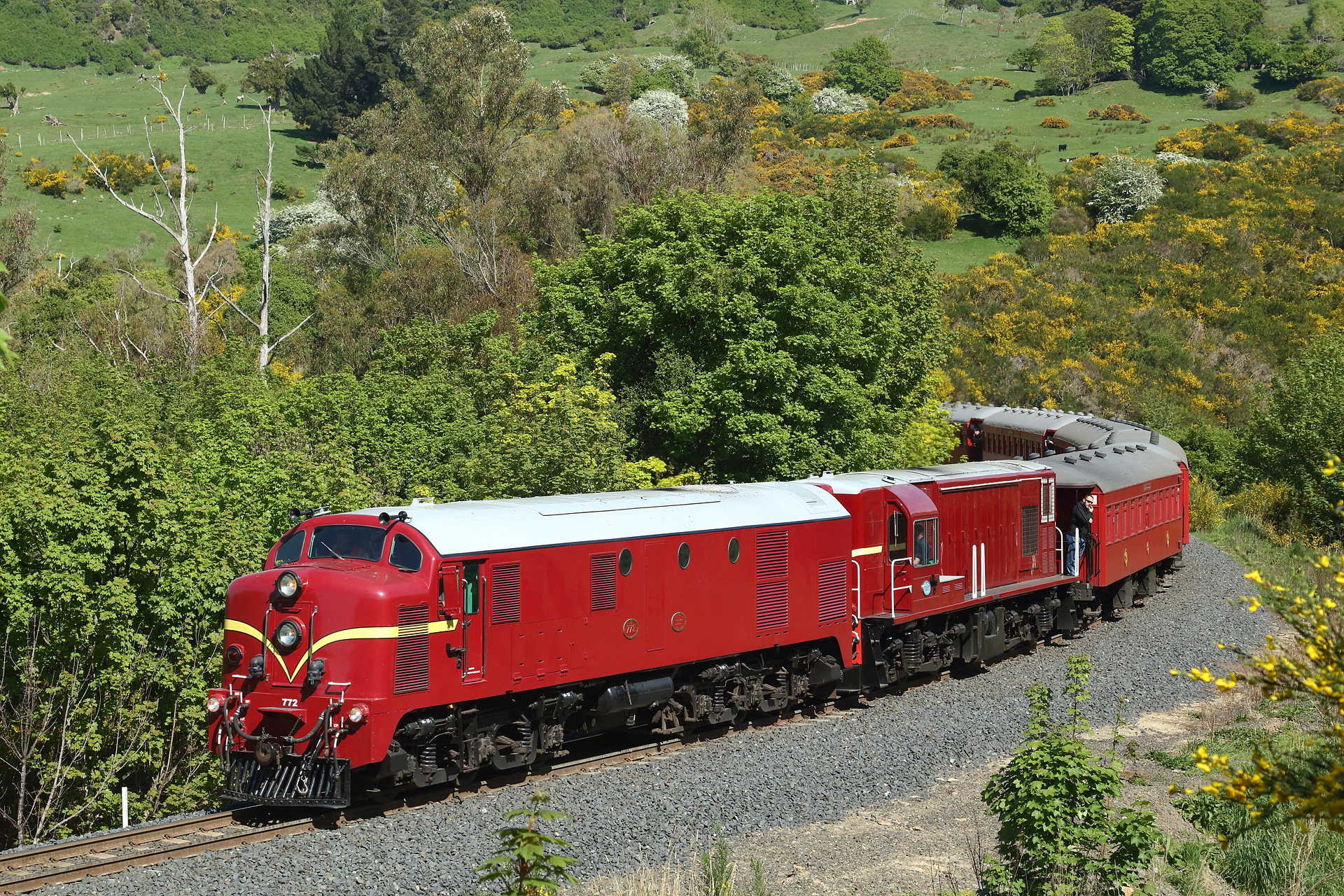 English Electric NZR DG – photo 3