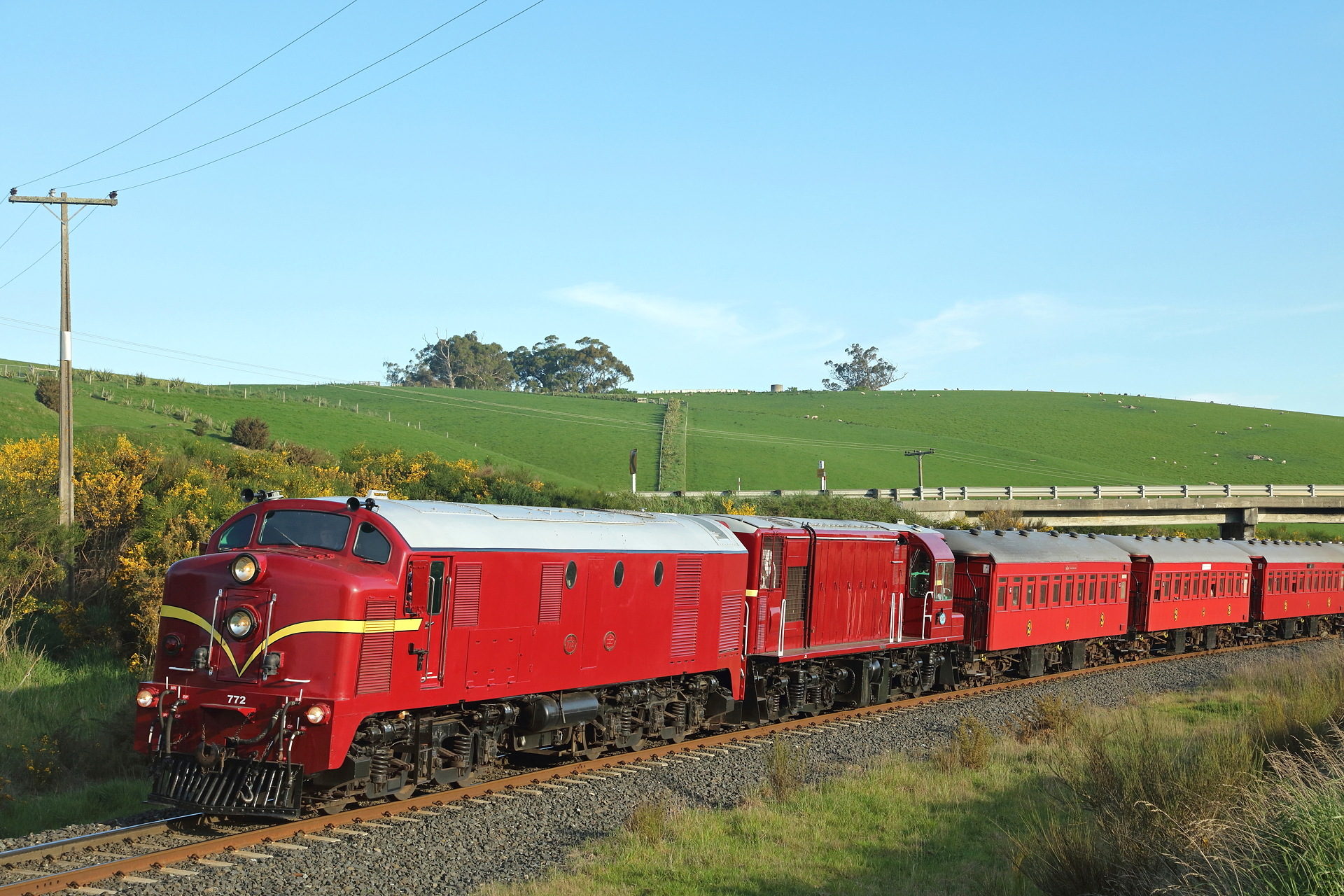 English Electric NZR DG – photo 5