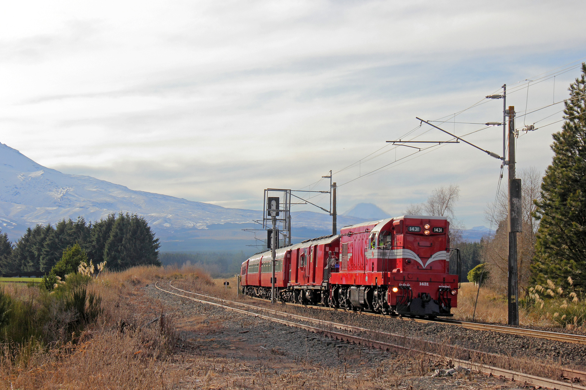 EMD NZR DA – photo 18