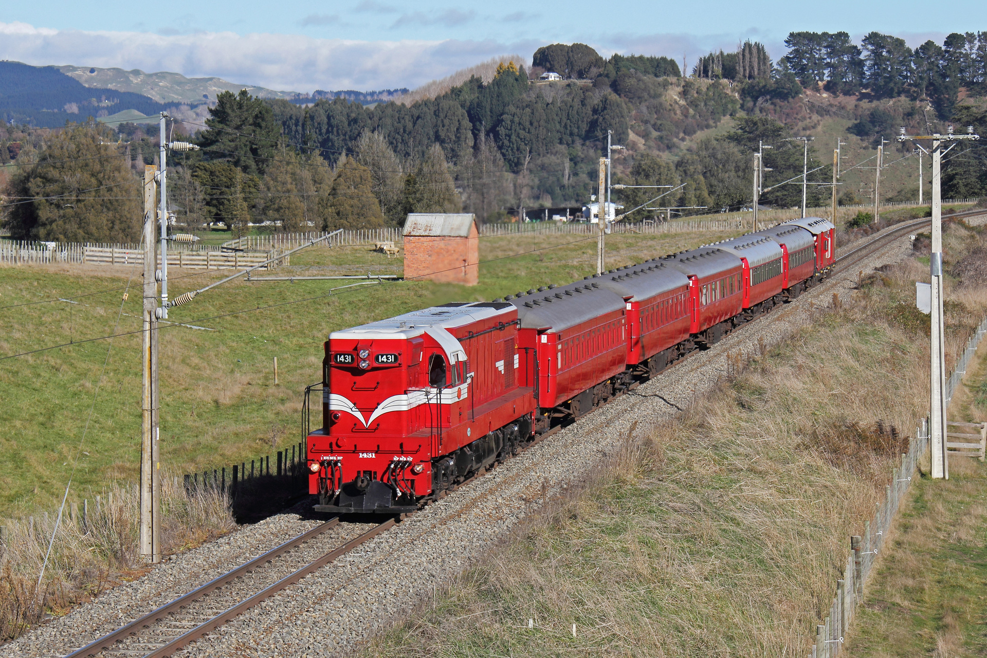 EMD NZR DA – photo 20