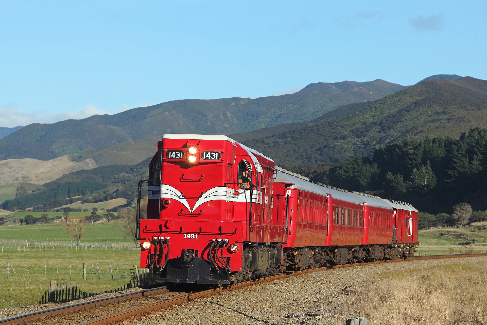 EMD NZR DA – photo 12