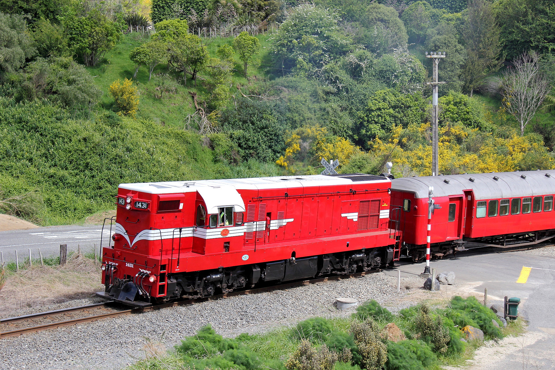 EMD NZR DA – photo 15