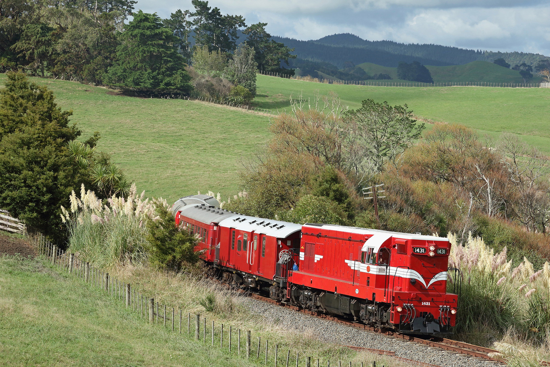 EMD NZR DA – photo 5