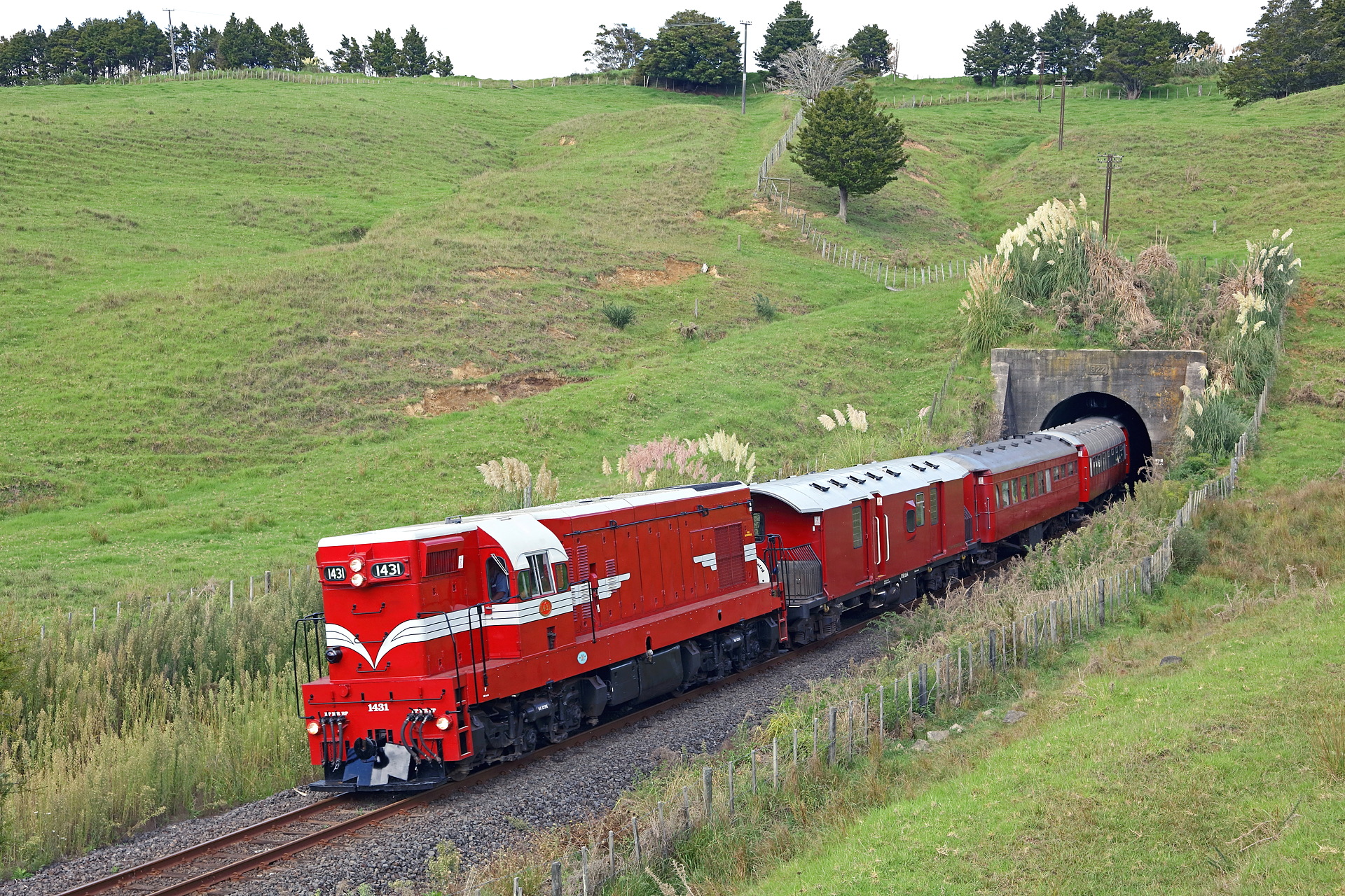 EMD NZR DA – photo 6