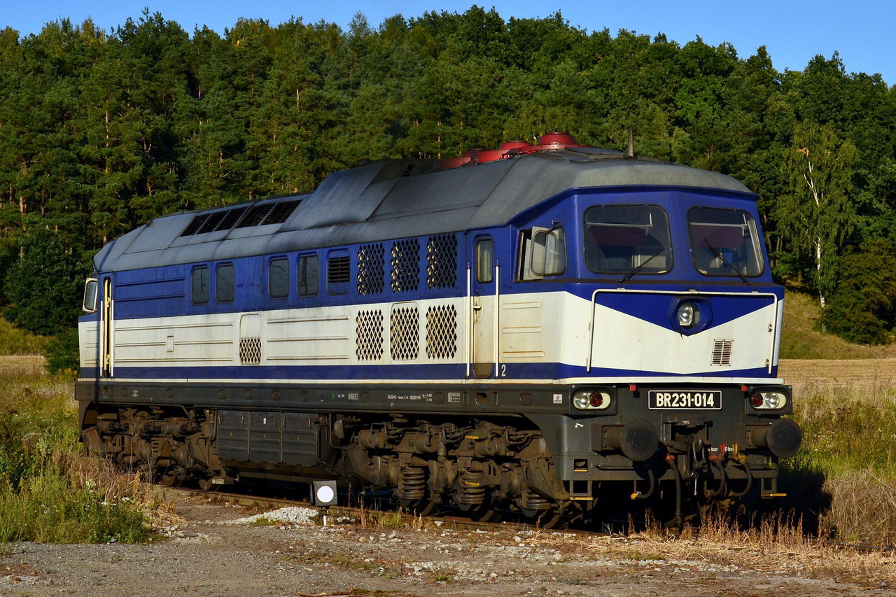 Luhanskteplovoz Br 131 / 231 – Foto 13