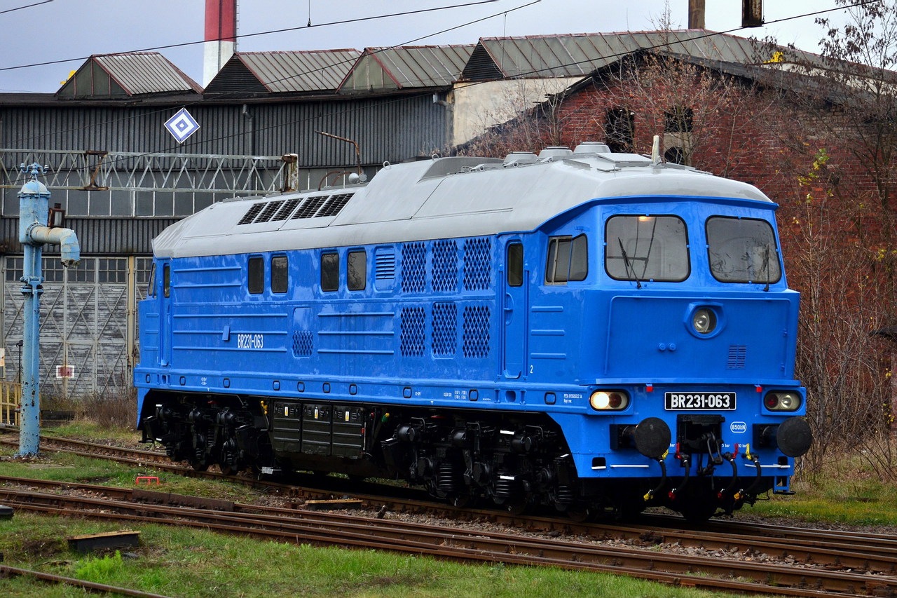 Luhanskteplovoz Br 131 / 231 – Foto 12