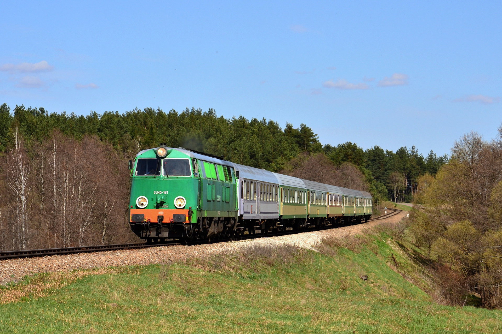 Cegielski 301D – photo 16