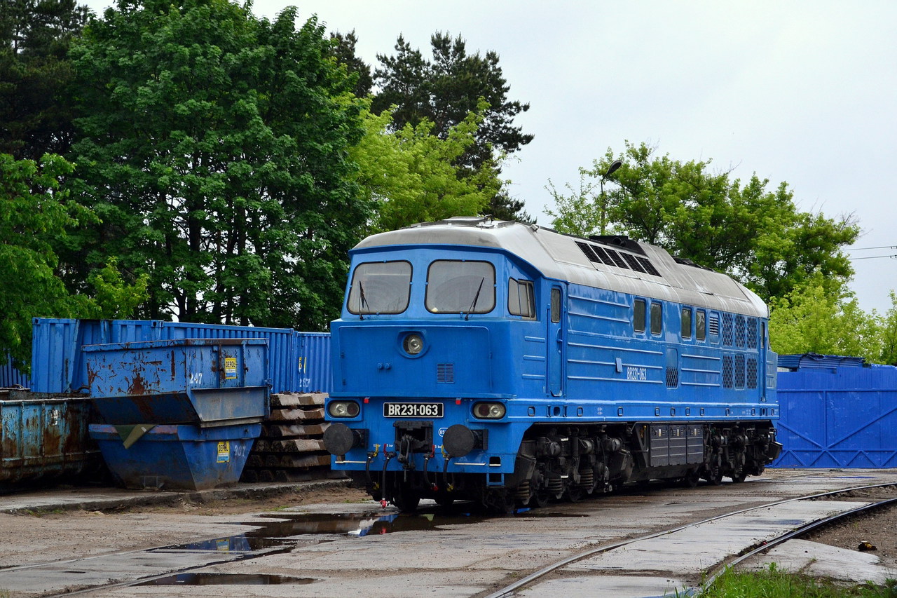 Luhanskteplovoz Br 131 / 231 – Foto 18