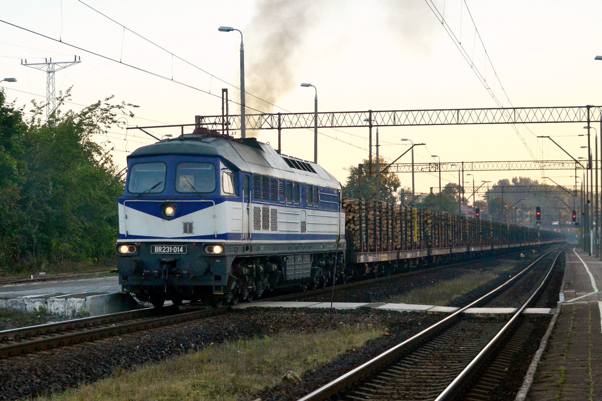 Luhanskteplovoz Br 131 / 231 – Foto 19