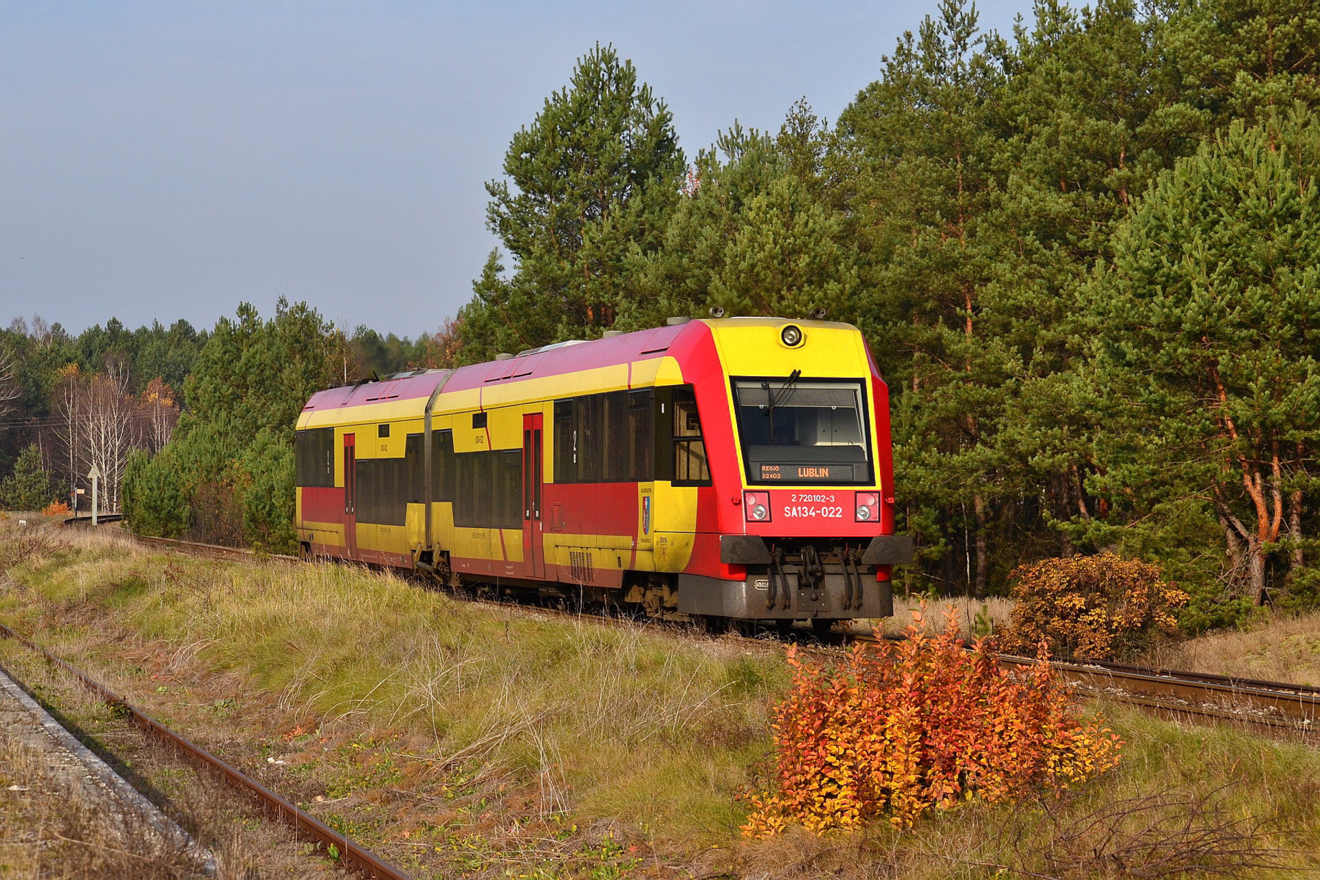 PESA SA134 – photo 3