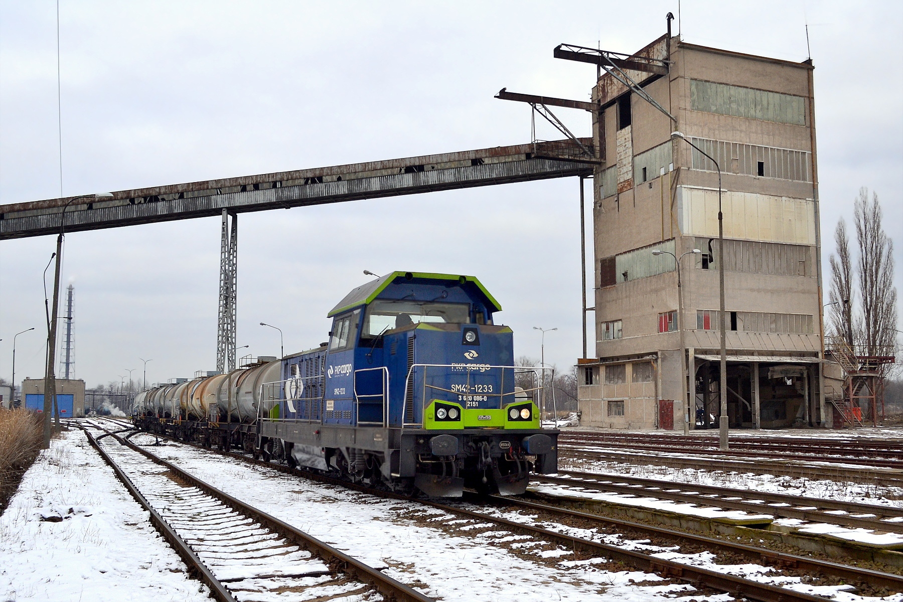Newag 6Dg – photo 19