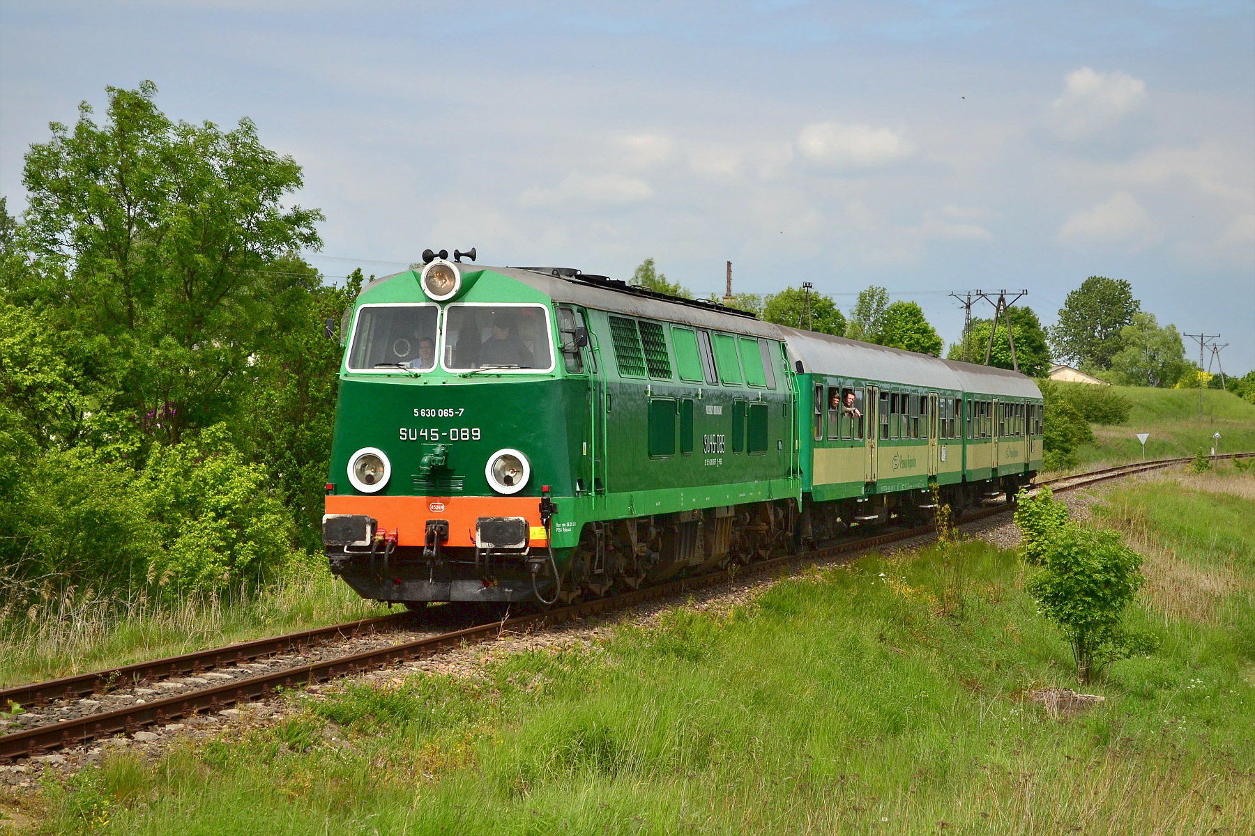 Cegielski 301D – photo 6