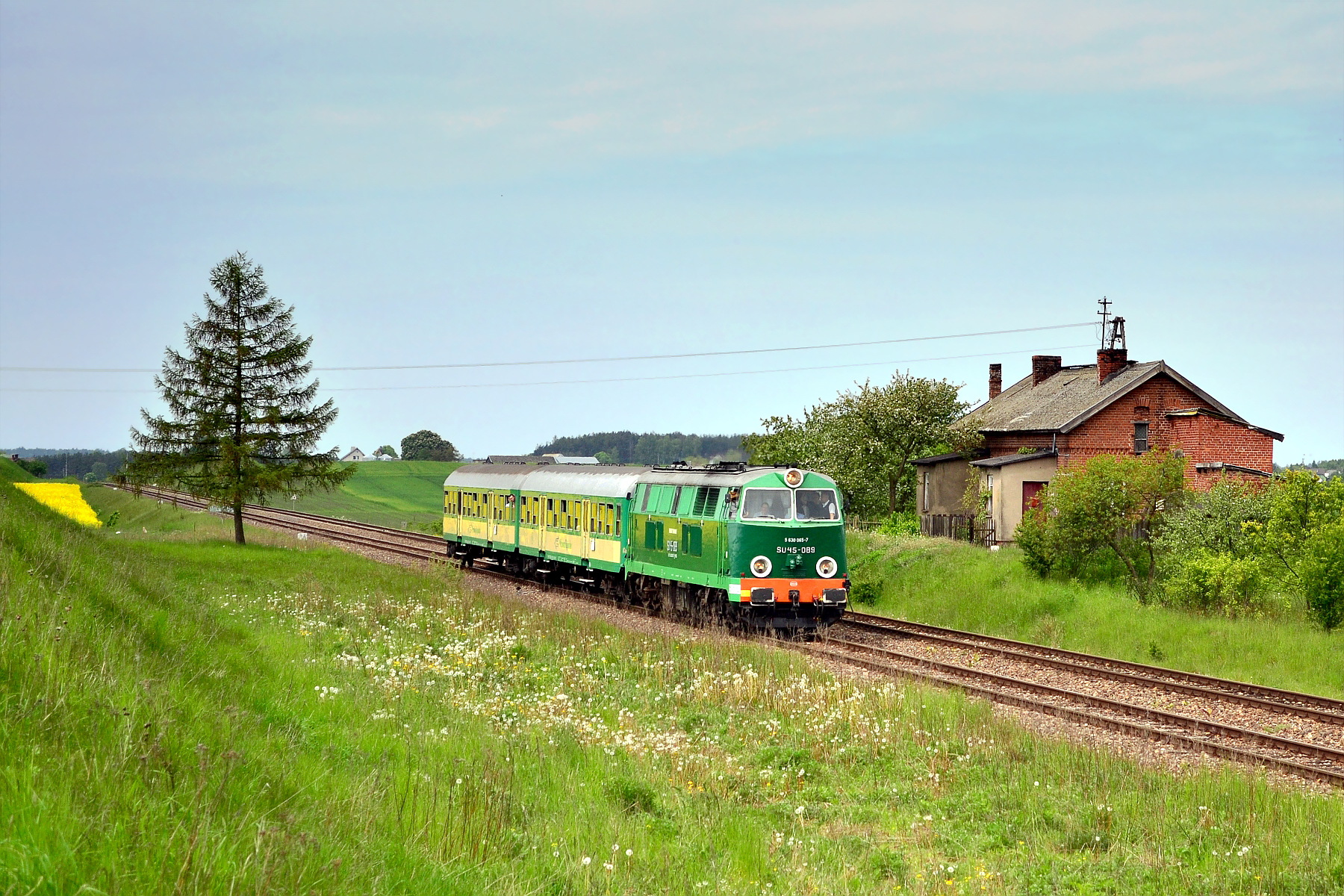 Cegielski 301D – photo 5