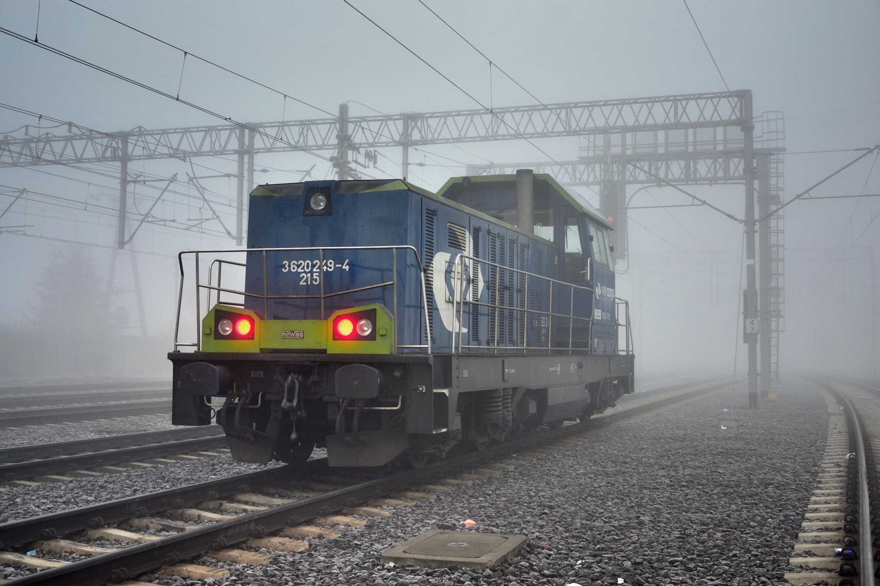 Newag 6Dg – photo 16