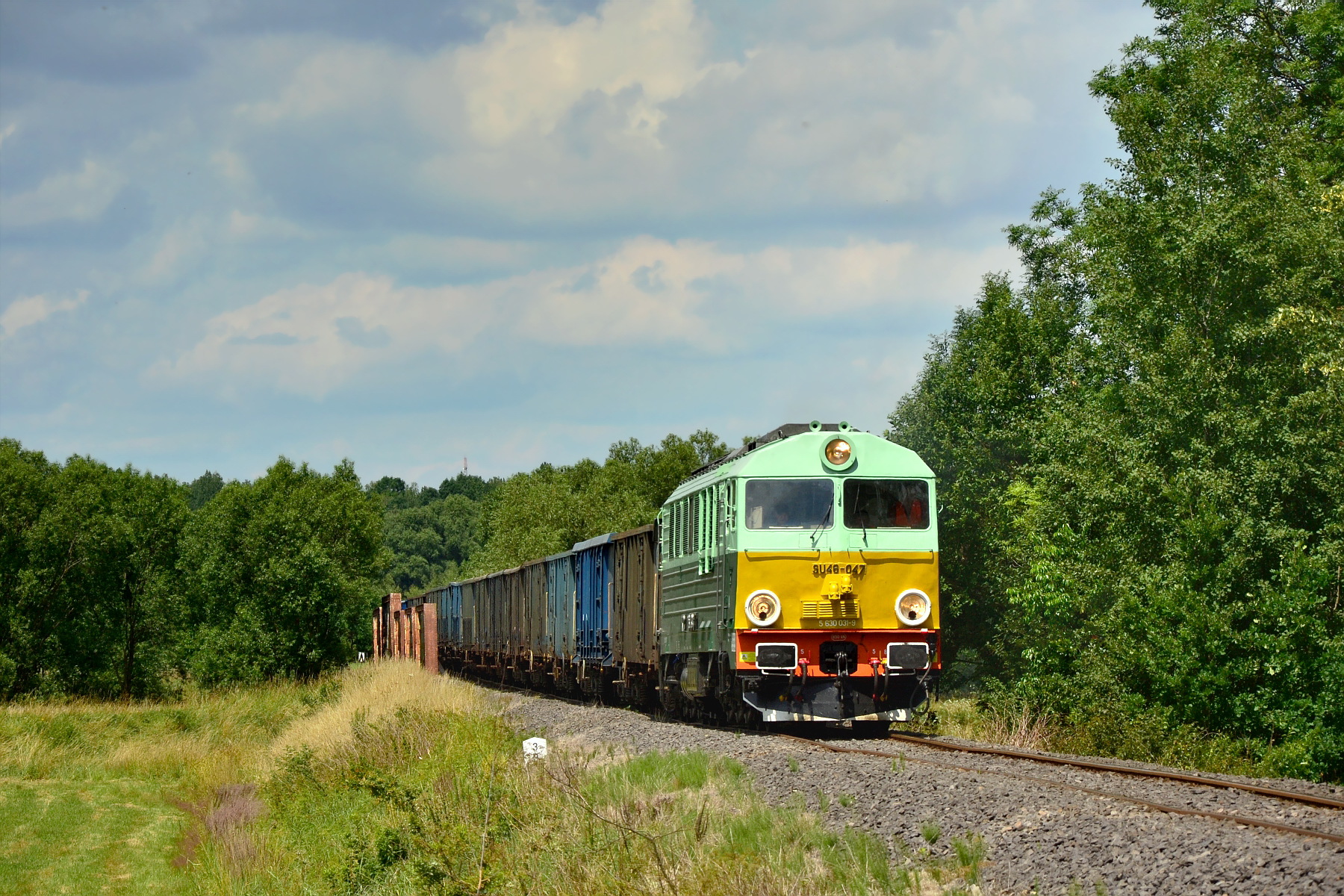 Cegielski 303D – photo 11