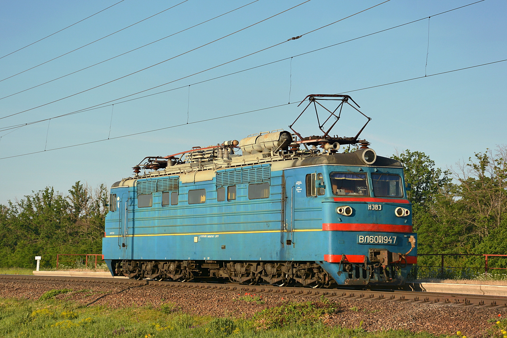 NEVZ VL60PK – photo 2