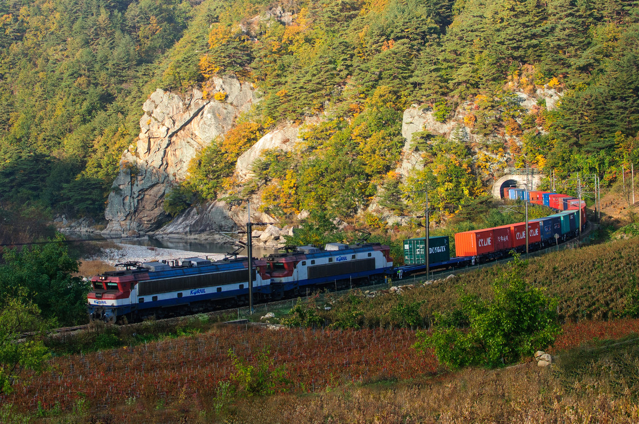Alstom Korail 8000 – photo 22