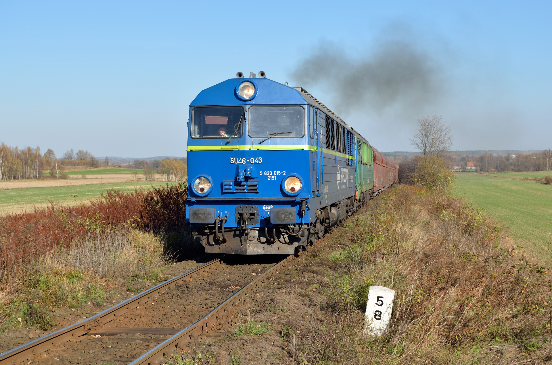 Cegielski 303D – photo 22