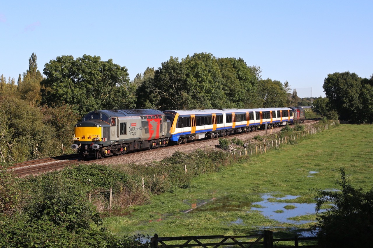 English Electric 37/6 – foto 10