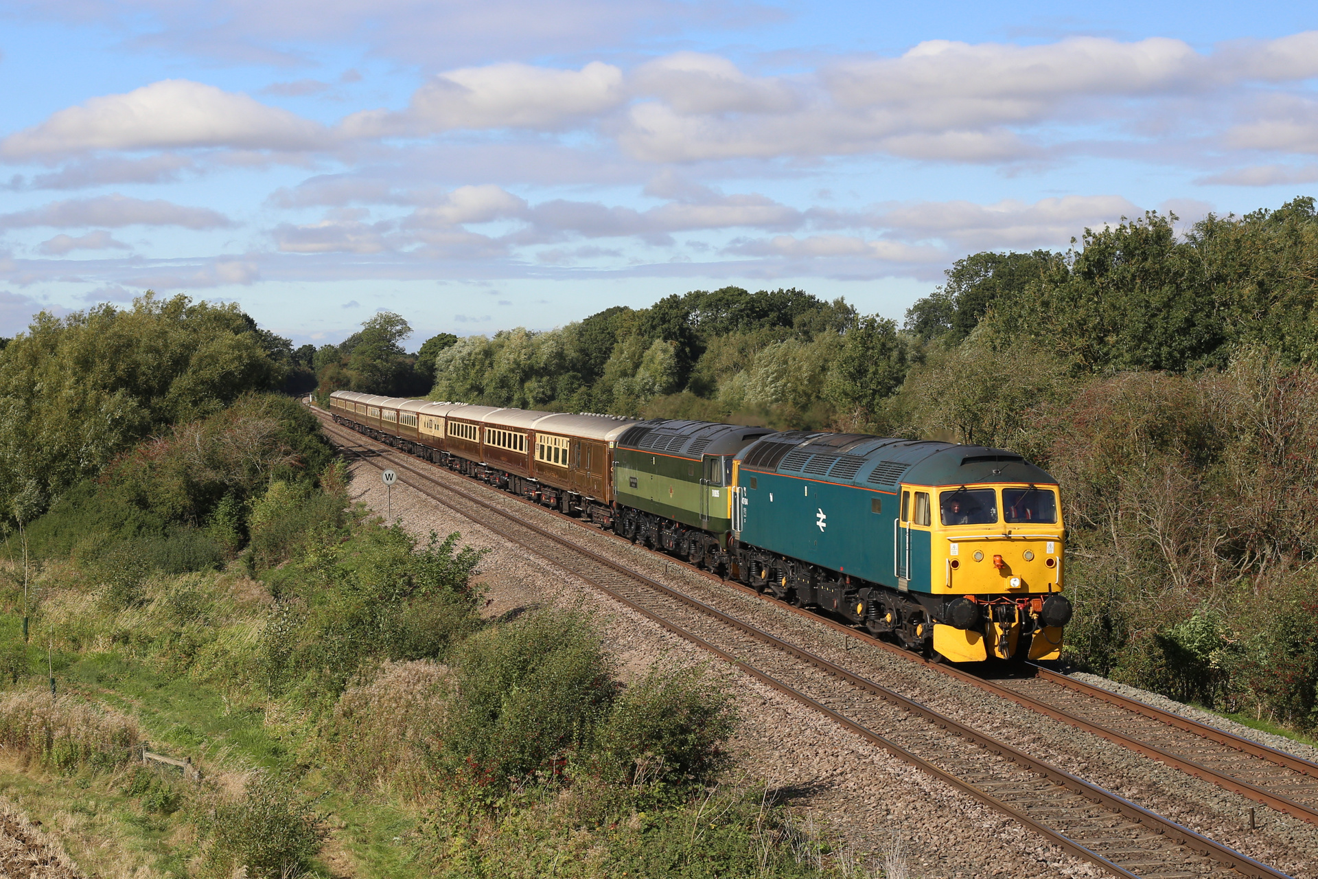 Brush Traction 47/4 – photo 2