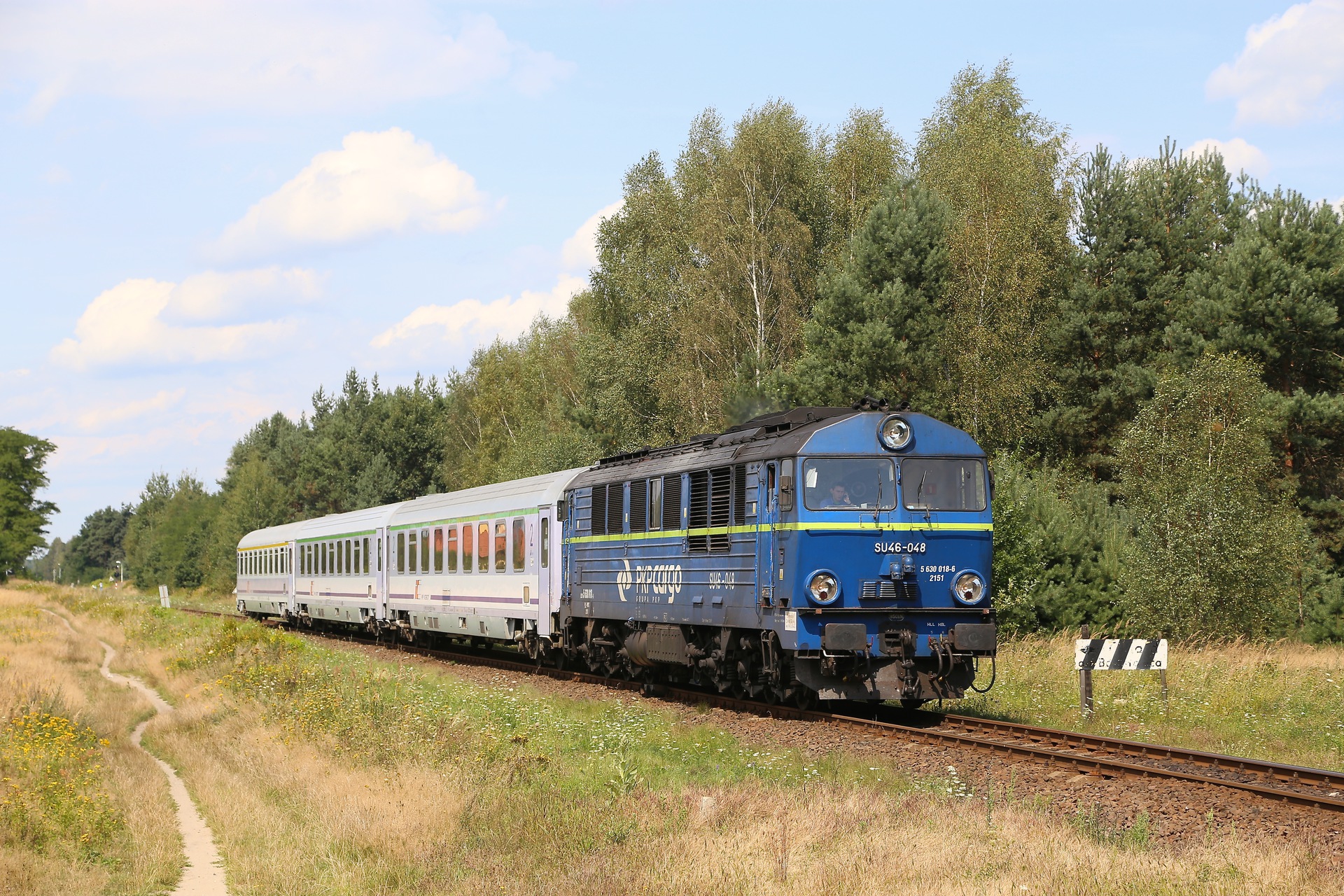 Cegielski 303D – photo 20