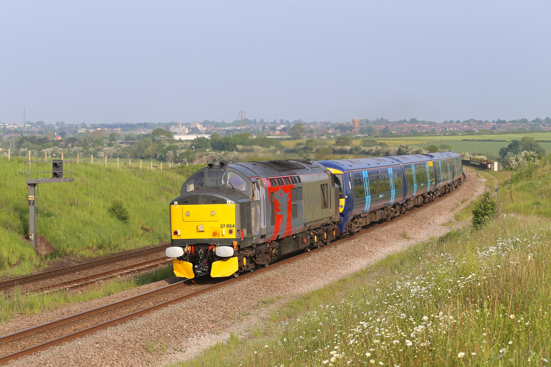 English Electric 37/7 – Foto 10