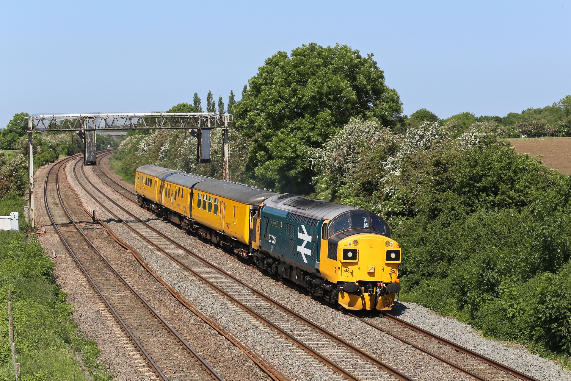 English Electric 37/0 – photo 13