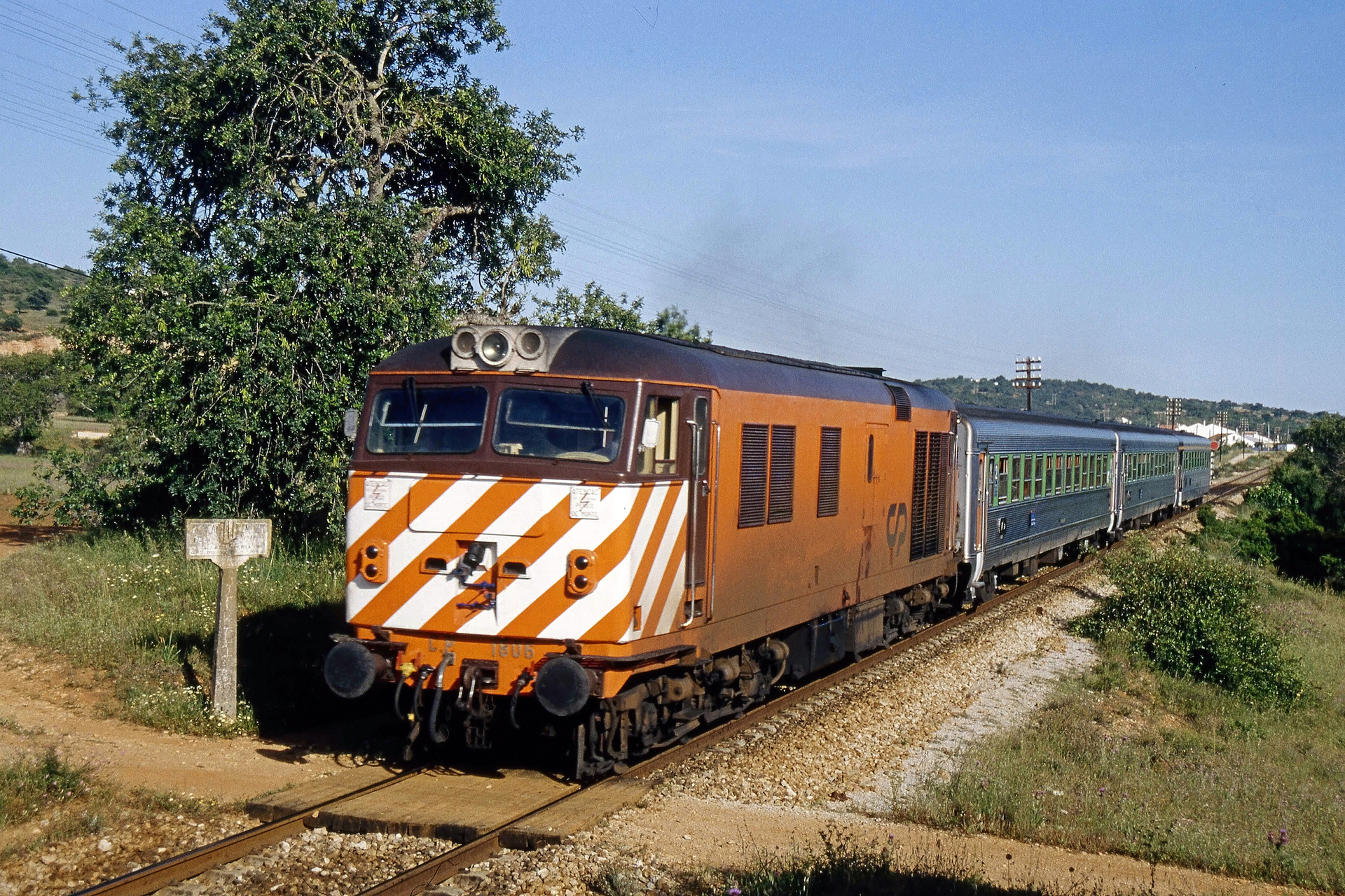 English Electric BR 50 (1668) – photo 7