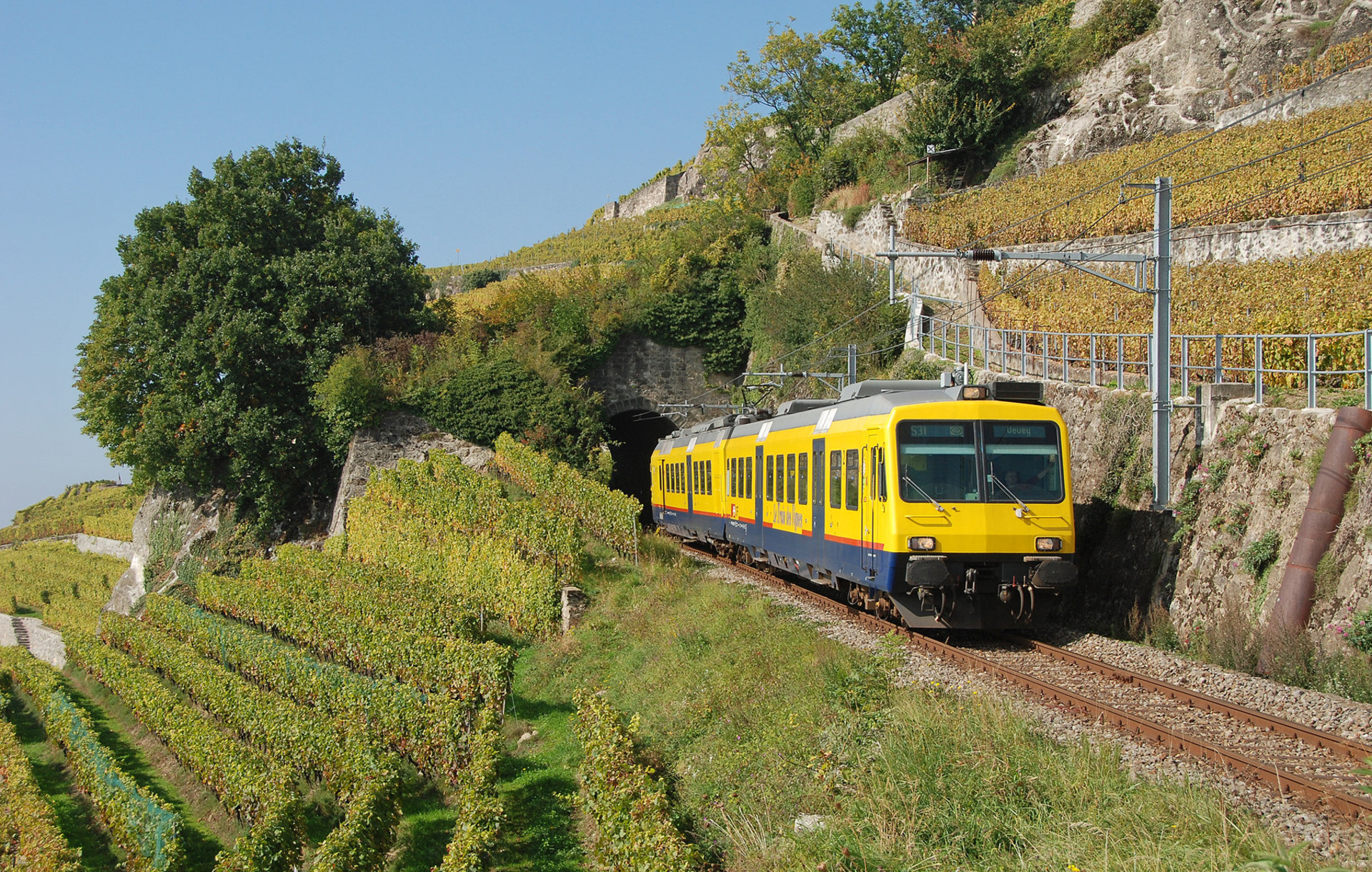 BBC RBDe 560 NPZ Colibri – Foto 9