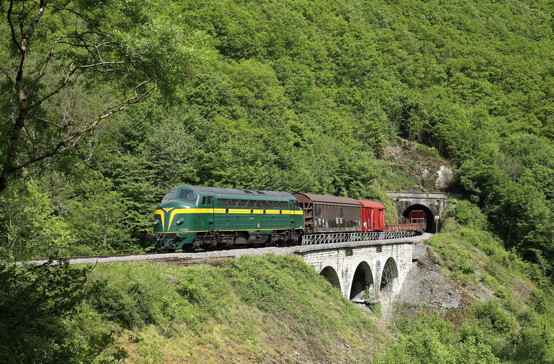 AFB SNCB 202, 52-54 / CFL 1600 – foto 18