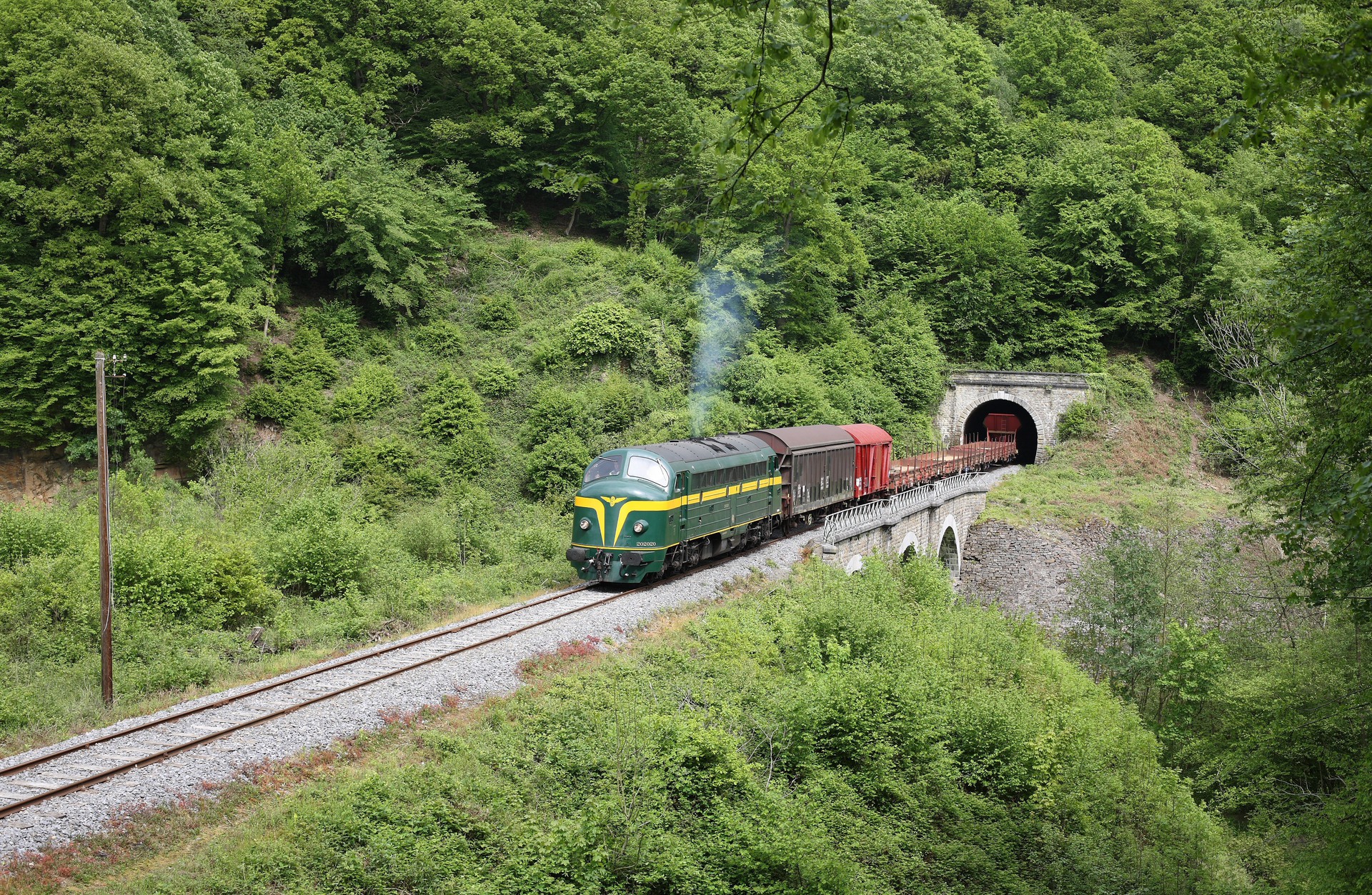 AFB SNCB 202, 52-54 / CFL 1600 – foto 19