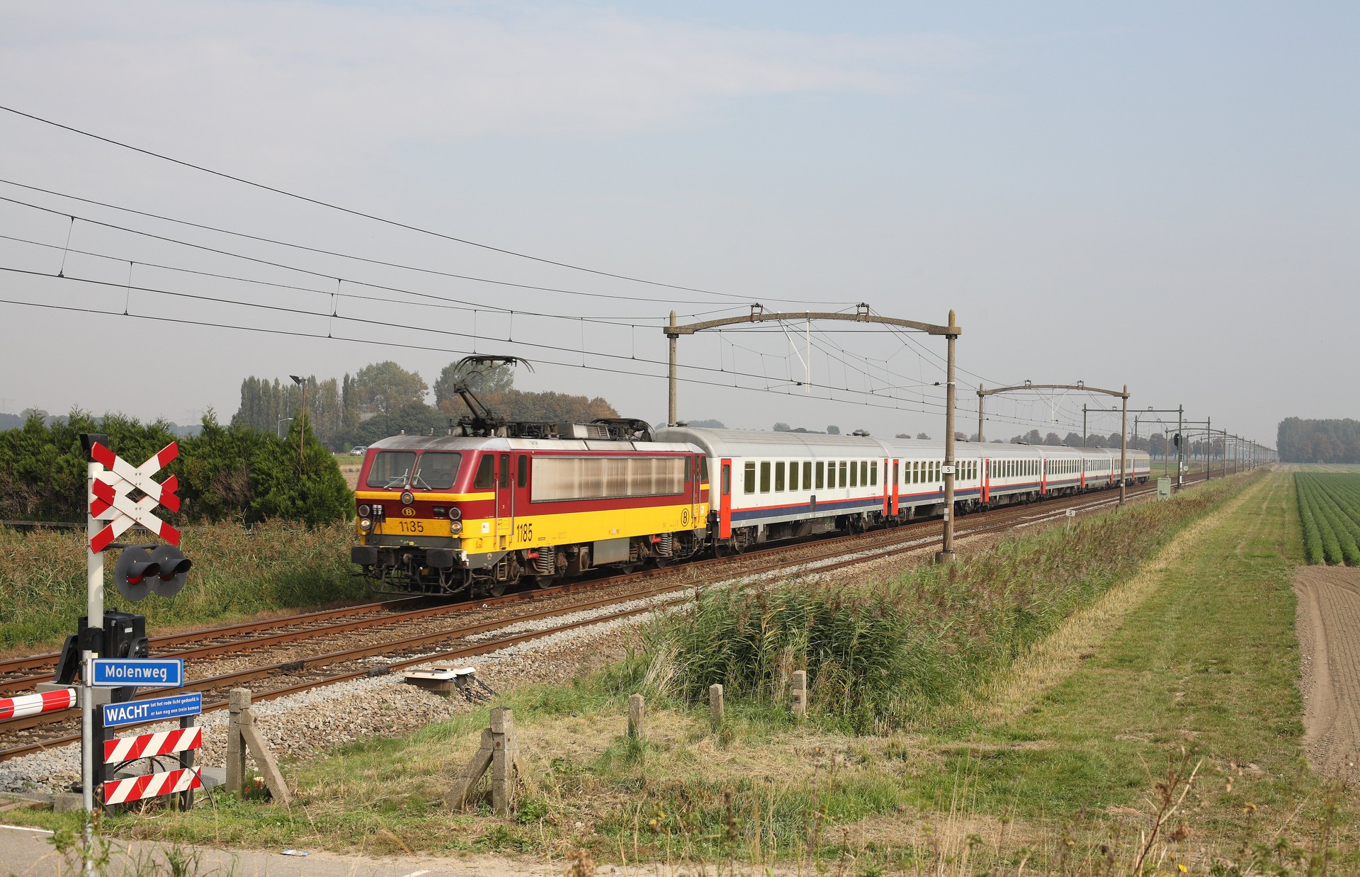 ACEC HLE 11 – foto 13
