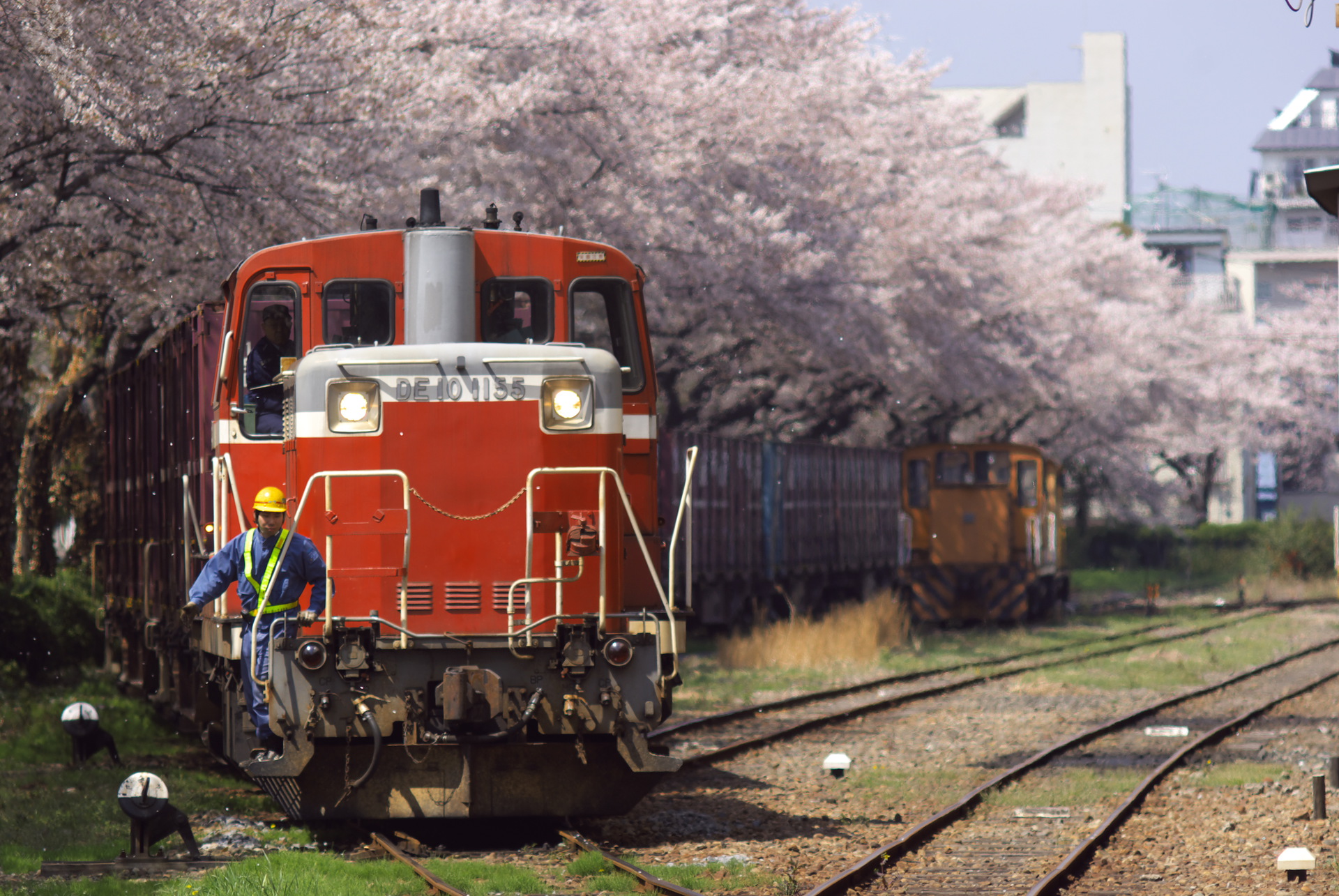 Nippon Sharyo JNR DE10 – photo 5