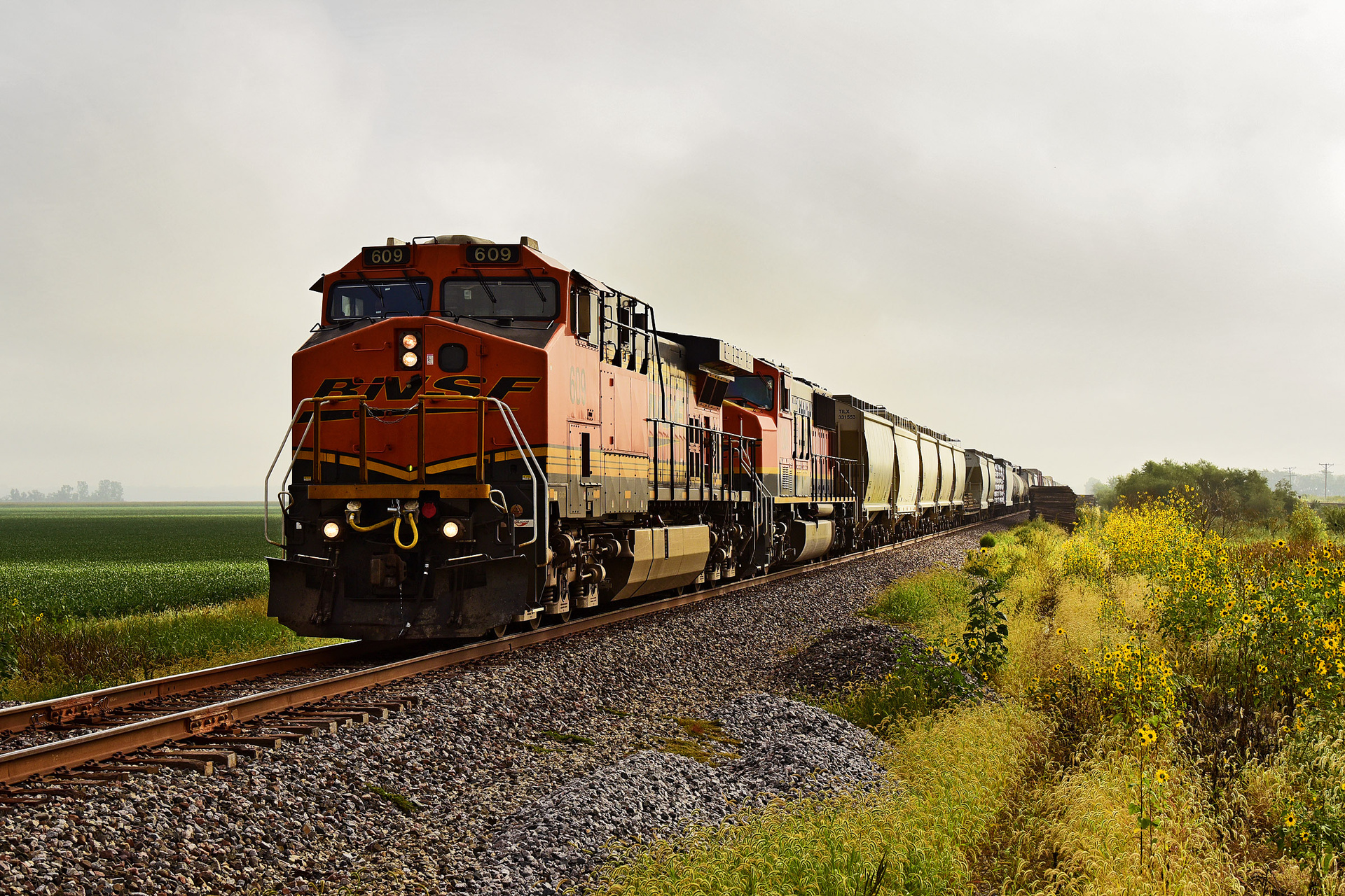 GE AC44C4M – photo 9