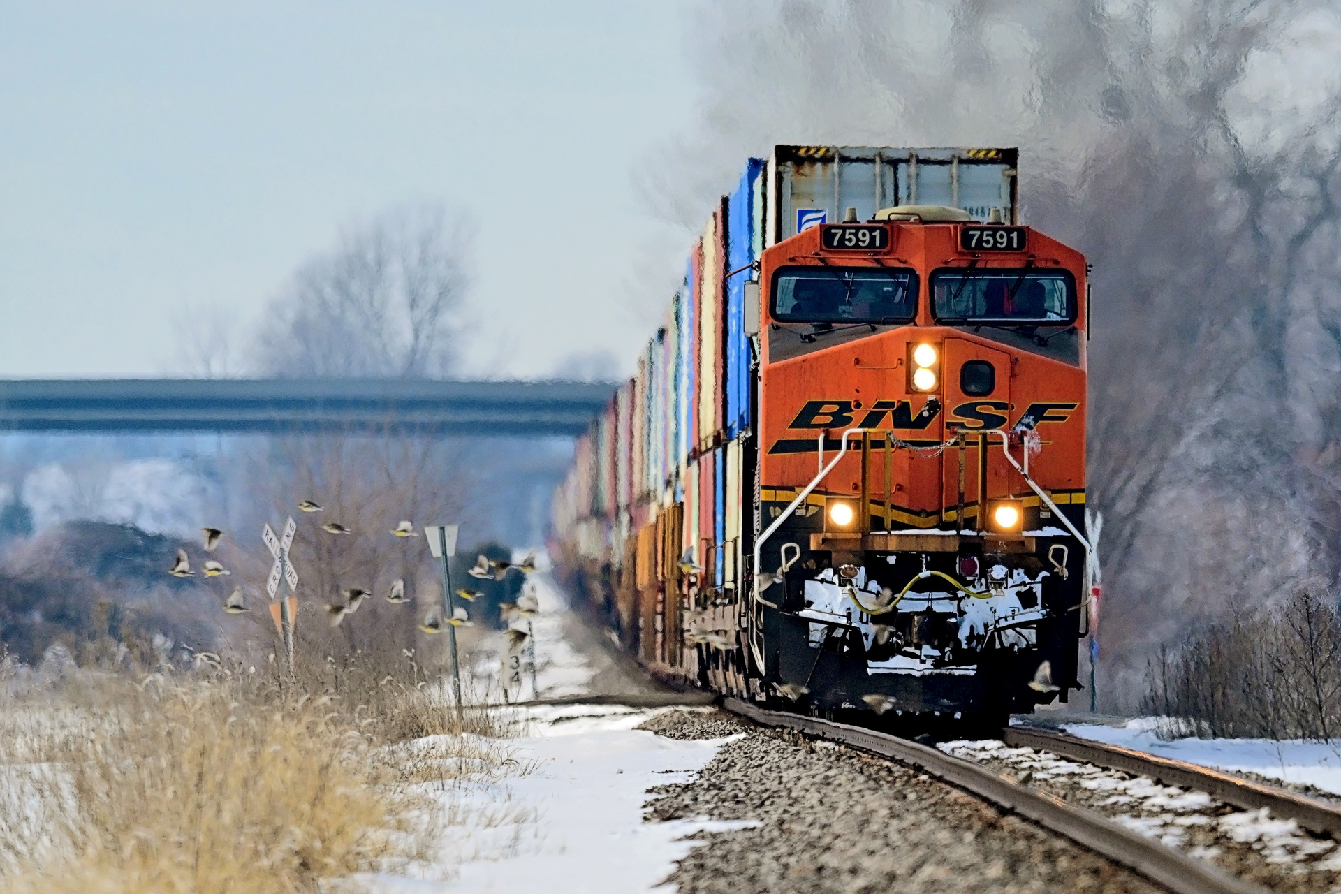 GE ES44DC – photo 6
