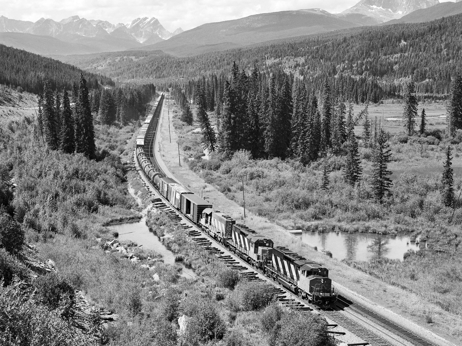 GMD SD40-2W – photo 4
