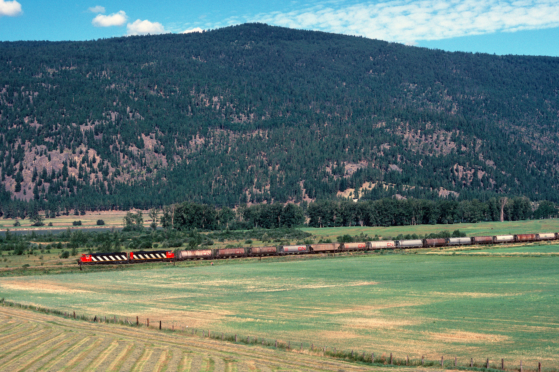 EMD SD60F – Foto 5